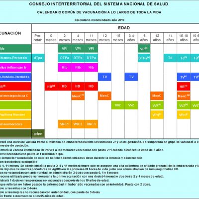 calendario-comun-sns